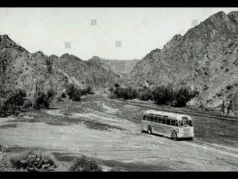 World longest bus