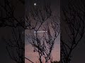 kahin pe ho raatein kahin pe savere status 🥀#kaisehua#vishalmishra#kabirsingh#love#sad#nature#broken