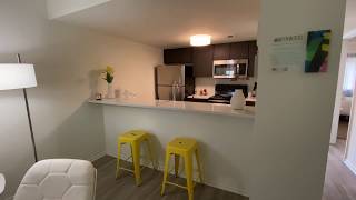 The Wynwood Elite Gainesville Virtual Tour SwampRentals com