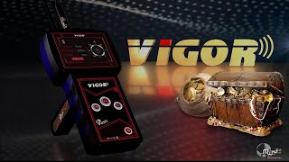 How to use the Vigor