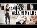 busy + stressful college week in my life | university of florida