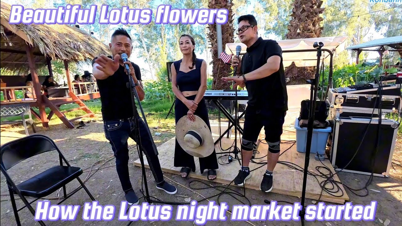 Beautiful day outdoors with varieties of Lao food. Celebration Lotus night market
