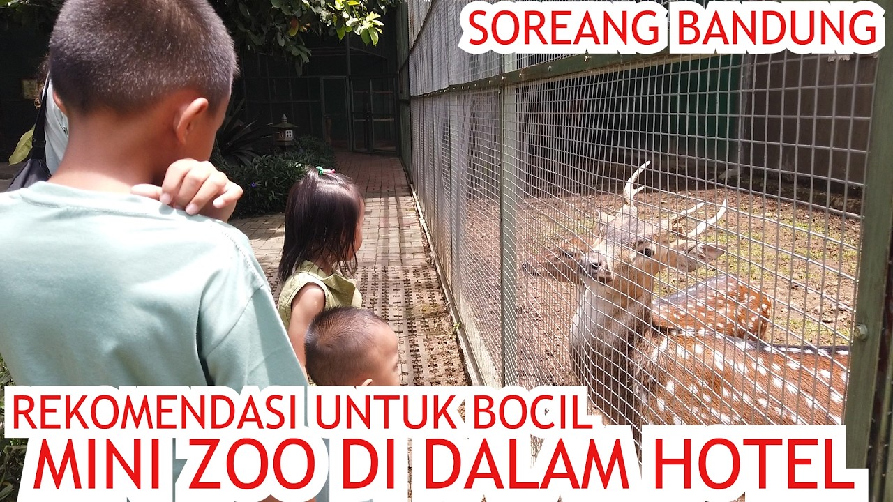 MINI ZOO DI DALAM HOTEL GRAND SUNSHINE, COCOK BANGET BUAT LIBURAN ANAK | SOREANG, BANDUNG SELATAN