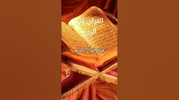 قناة القرآن الكريم. القرآن غذاء الروح. تلاوة هادئة تريح القلب وتزيل الهموم