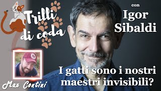 I gatti sono i nostri maestri invisibili? con Igor Sibaldi