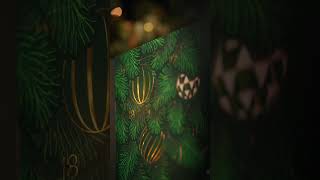 2024 Tea Advent Calendar | Palais des Thes