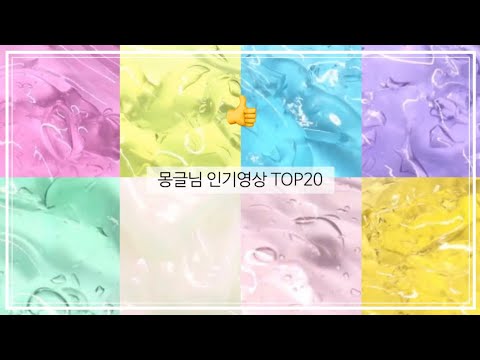 몽글님 인기영상 TOP20