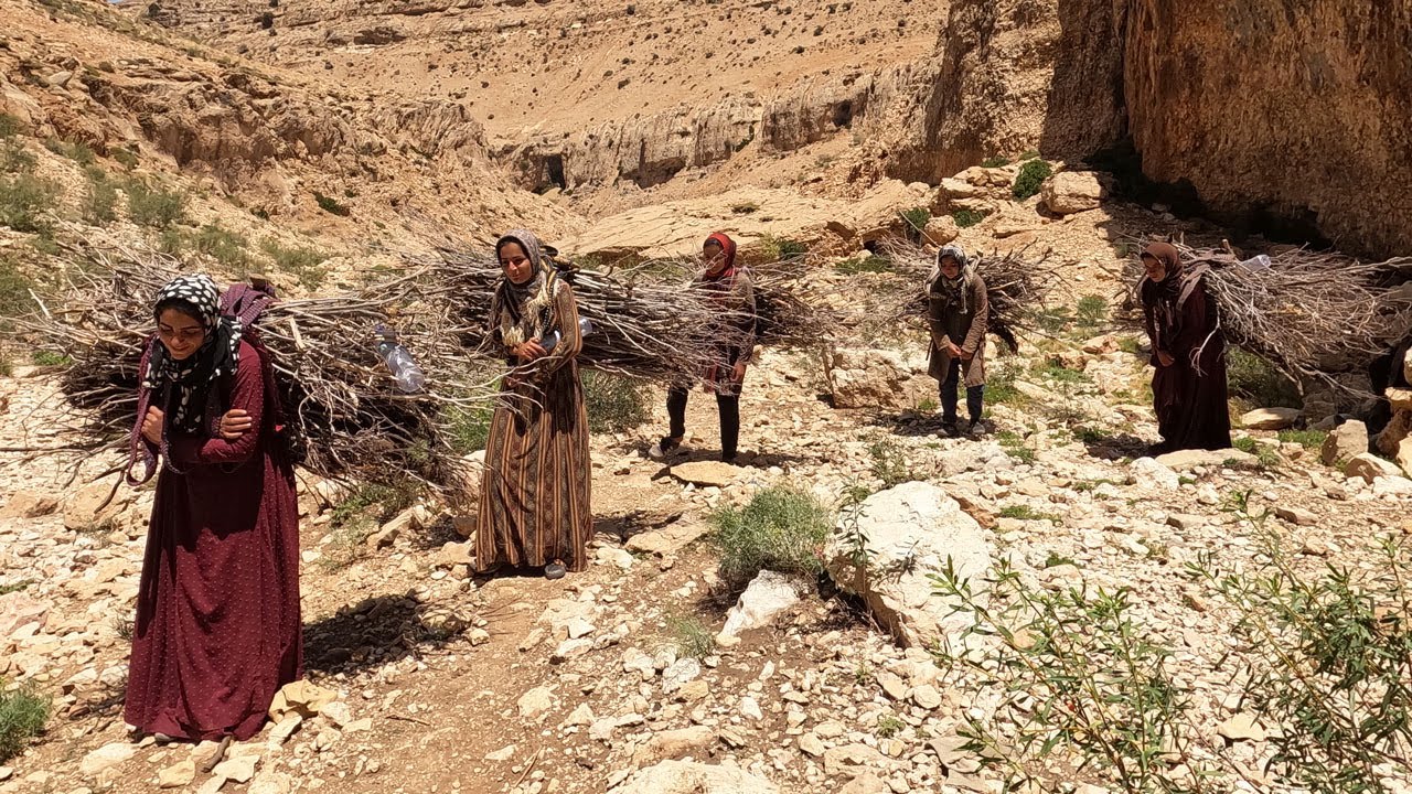 Gathering Firewood for Cooking_ the nomadic lifestyle of Iran - YouTube
