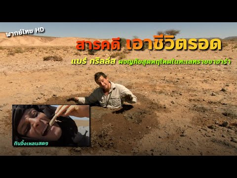 สารคดี แบร์ กริลลส์ ผจญภัยเอาชีวิตรอด ในทะเลทรายซาฮาร่า