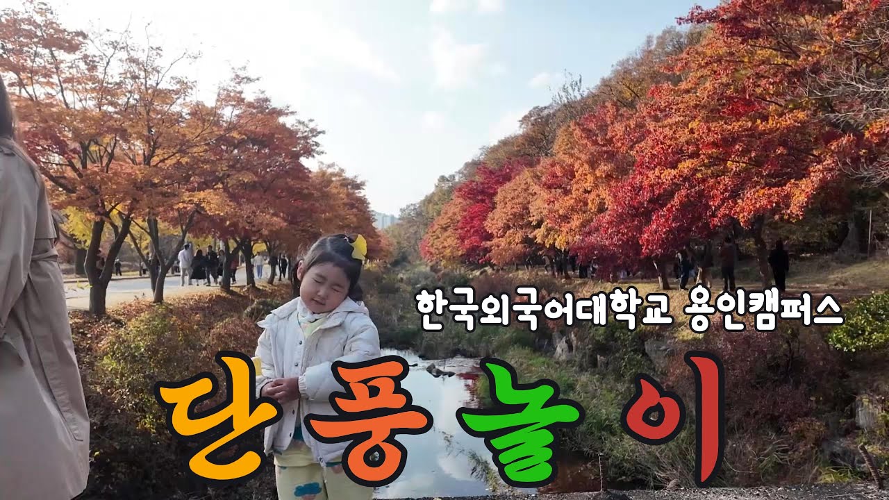 ✨단풍명소✨ 외대 캠퍼스에서 즐기는  단풍놀이🍁