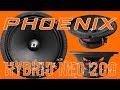 DL Audio Phoenix Hybrid Neo 200, распаковка, обзор, прослушка и сравнение с другими двадцатками