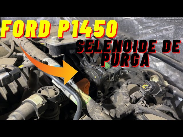 Ford Code P1450 - Cannot Purge Tank Vacuum - F150, Focus, Explorer