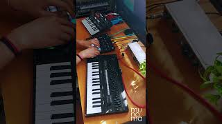 Aphex Twin - Pulsewidth (Cover) | Novation Circuit Tracks + Donner L1