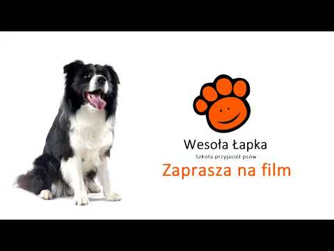 Wideo: Jak Budować Relacje W Roku Psa