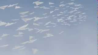 Blender boids addon (FloX alpha version) rendering #1