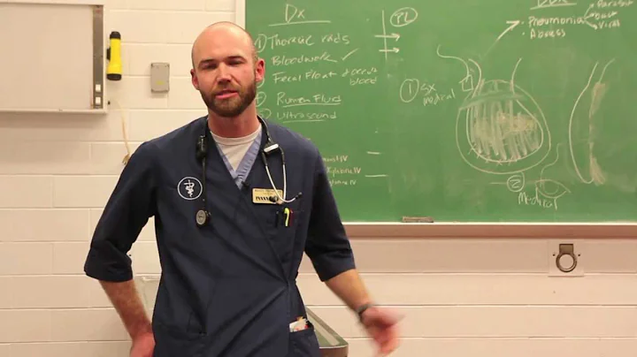 Brady Thompson | Why PVM?