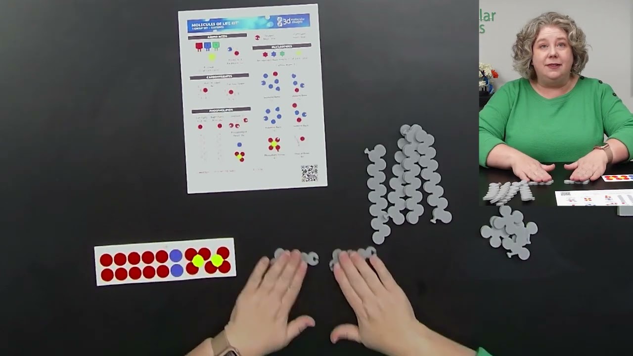 Molecules of Life Modeling Kit© Assembly Video
