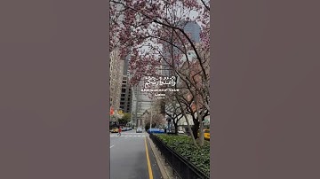 قرآن الكريم #quran #اكسبلور #المصحف #duet #لايك #دويتو #nature