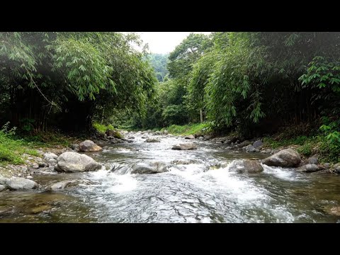 CALM RIVER SOUND - SOOTHING ASMR RIVER NATURAL TROPICAL FOR FOCUS STUDY AND STRESS RELIEF