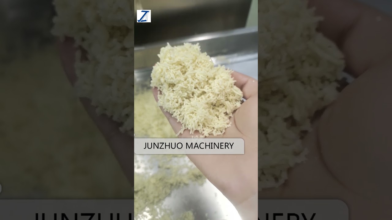 ZK160 Basket granulator testing for seasoning powder