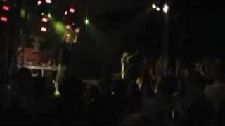 A.M.O. -  PIT BULL  Podhajska Fest