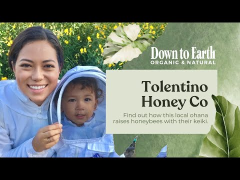 Tolentino Honey Co: premium raw Hawaiian honey | support LOCAL
