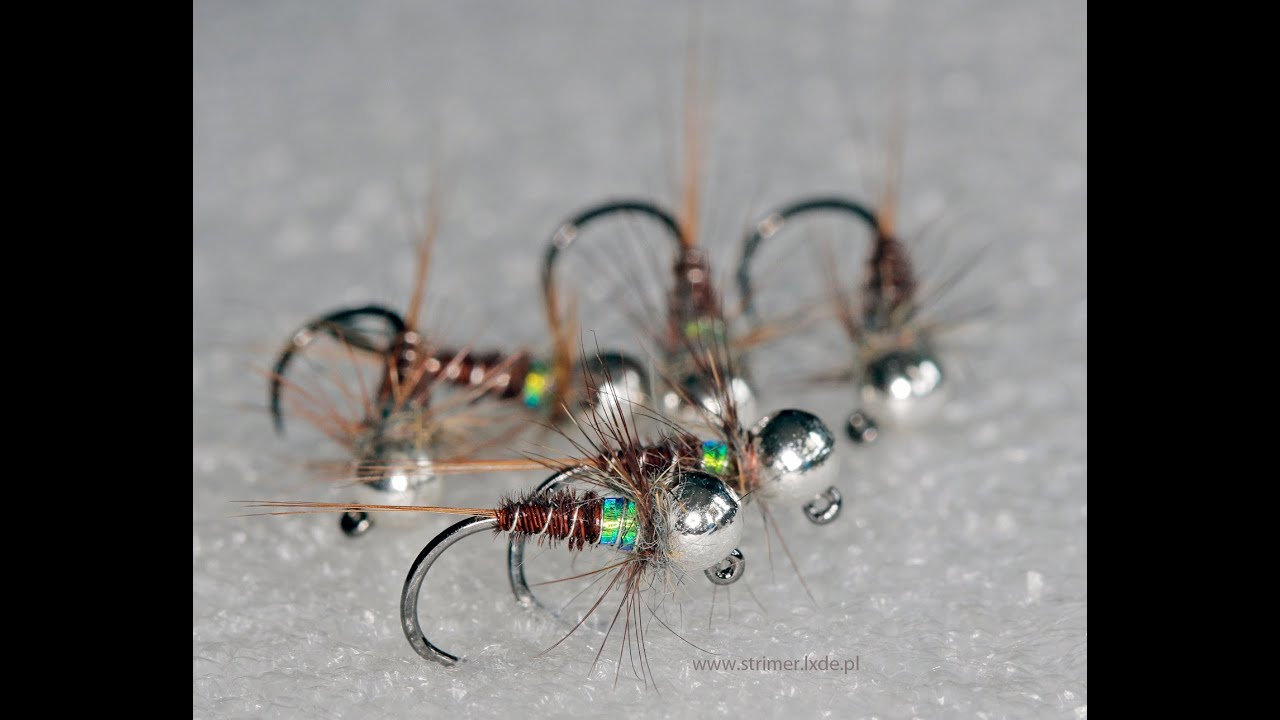 Pheasant tail peackok   brązka
