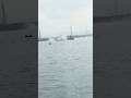 indian coast guard #short