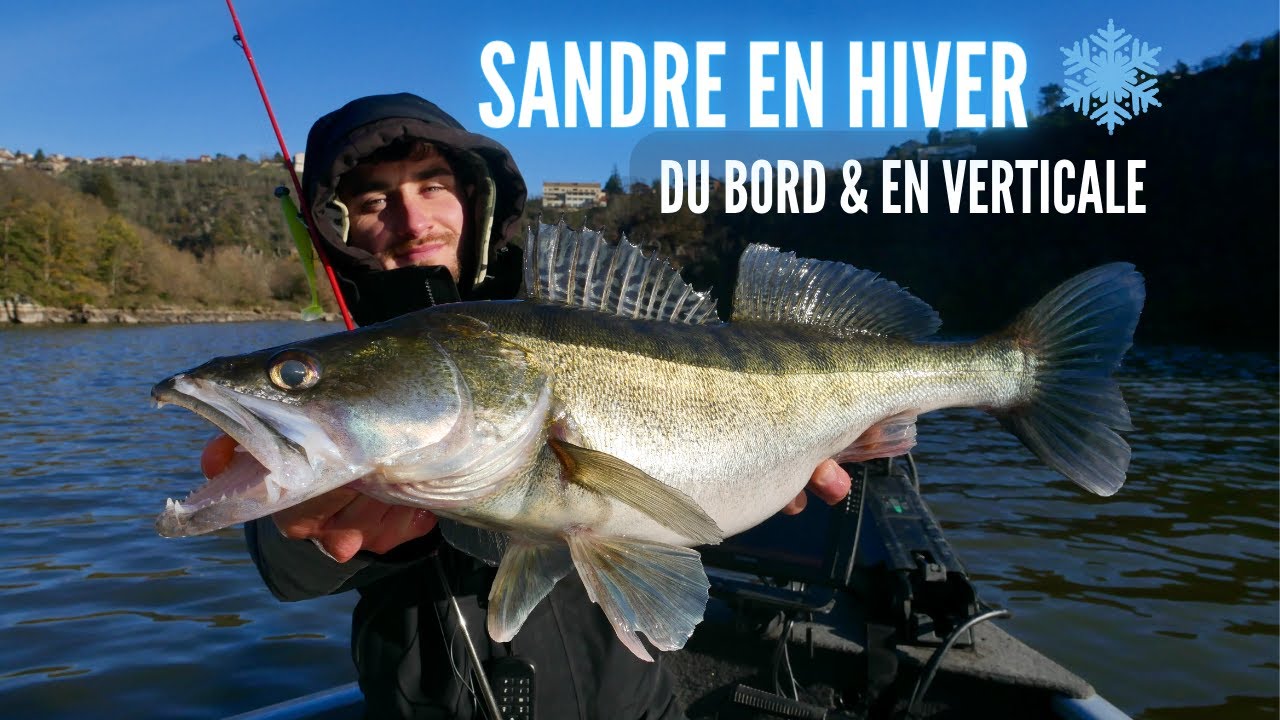 Pêche du sandre du bord et en verticale : Un leurre souple polyvalent pour l'Hiver !