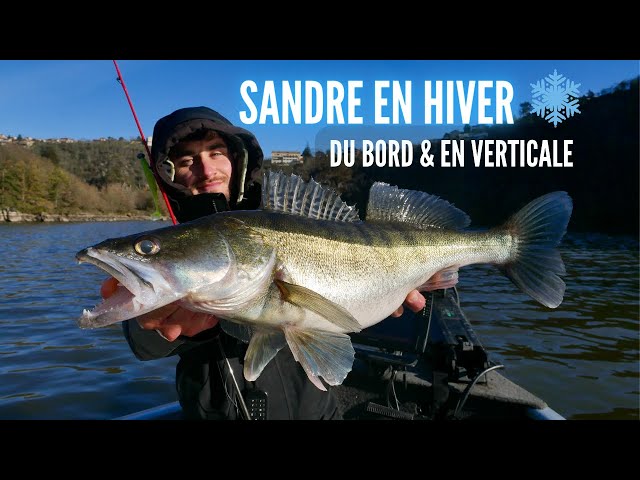 Mes pêches du sandre : Du bord, en lac de barrage