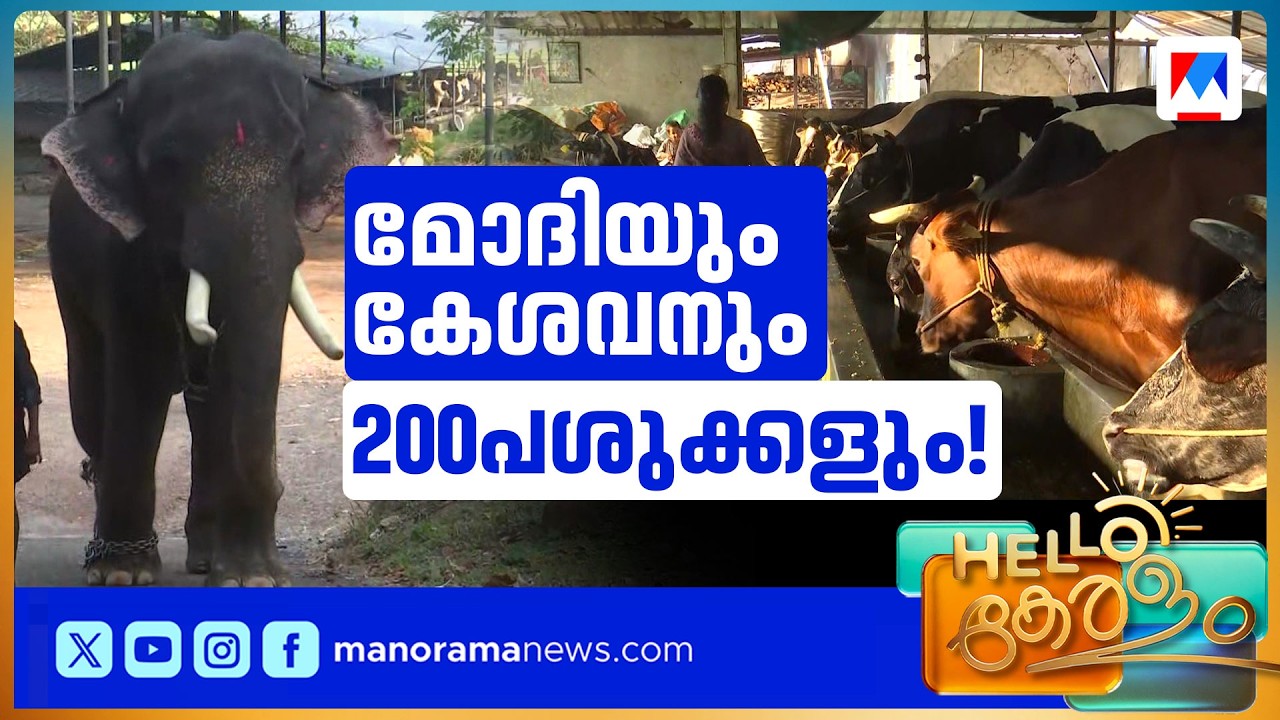 ഒൻപത് ആനകളും 200 പശുക്കളും പിന്നെ പോത്തും എരുമയും; ഒരു വൈറല്‍ ഫാം | Kollam Farm