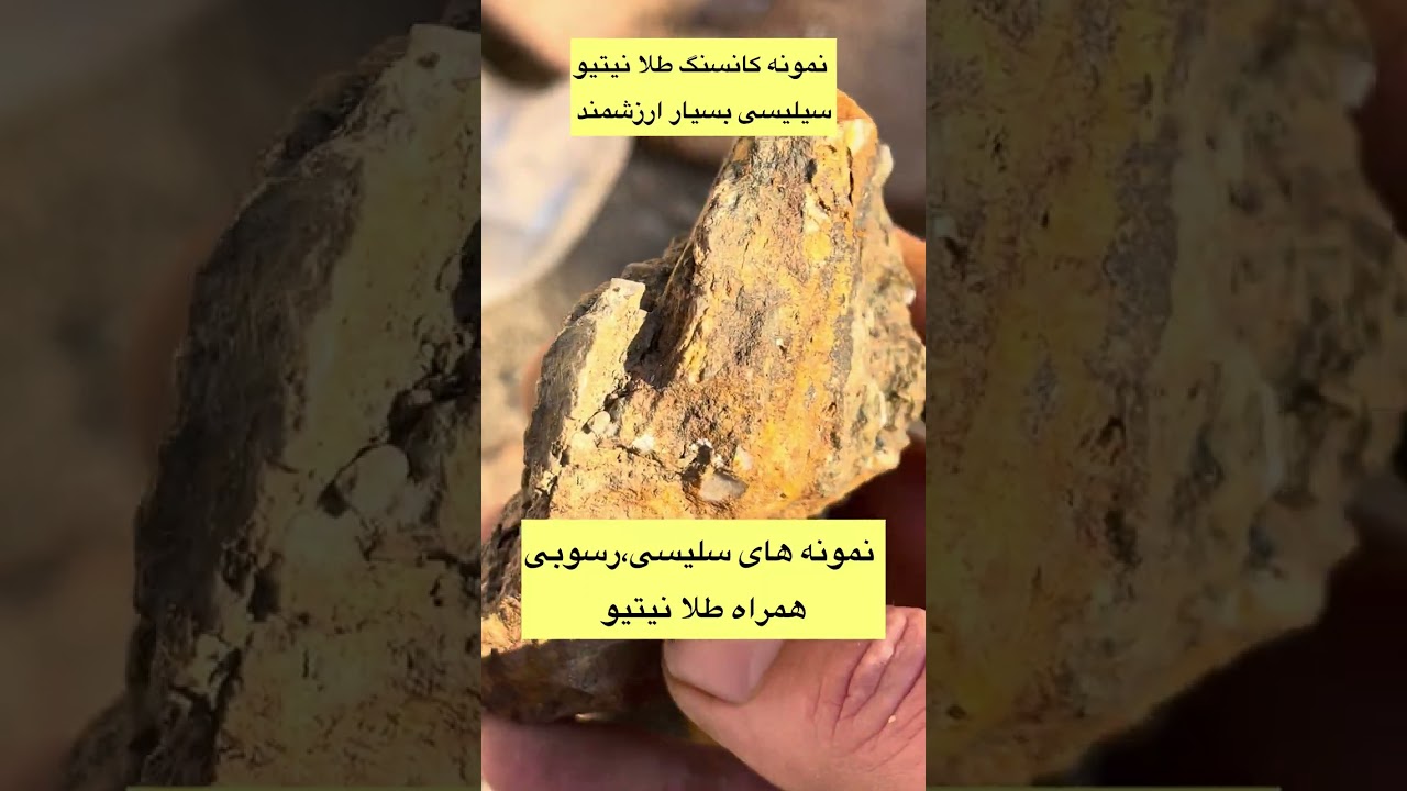 #شمش طلا#طلا آزاد#ناگت#آموزش طلا#قالکاری#gold mineiran#gold#پلاتین#پالادیوم#مشارکت#مشهد#هادی یزدانی#