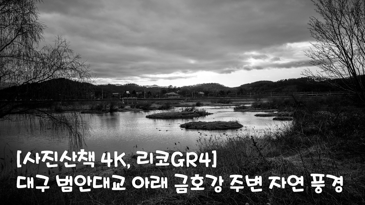 [사진산책 4K, 리코GR4] 대구 범안대교 아래 금호강 주변 자연 풍경ㅣ1인칭시점 걷기 동영상ㅣPOV Street Photography