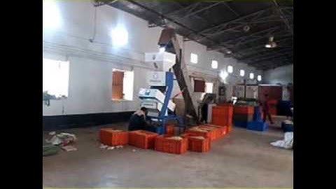 Cashew sorting machine