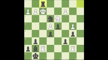Winning the Rooks - Chess.com Puzzle 11/27/23 Walkthrough