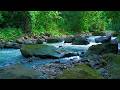 Relaxing River Sound White Noise keeps the soul calm, for studying, for sleeping, Stress Relief