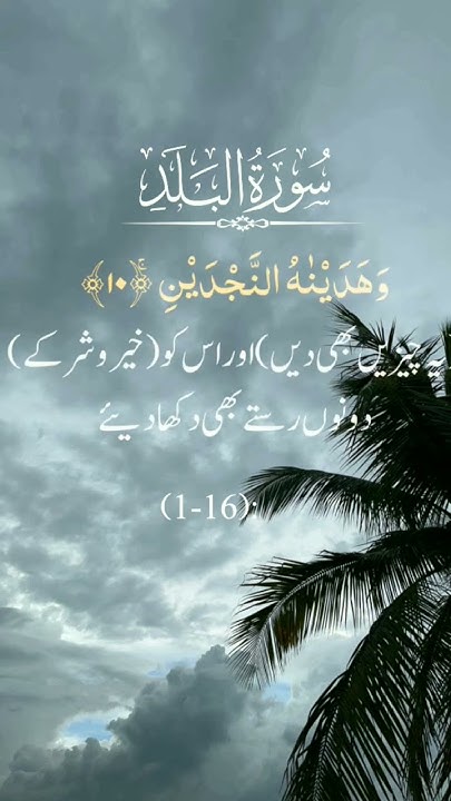 all-wh-question-words-in-english-with-urdu-explanation-grammareer