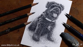 Minnie Memories - Posthumous Pooch Pet Pencil Portrait
