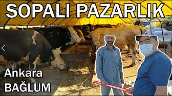 Caldiran Zumrut Yasam Alani Kecioren Belediyesi