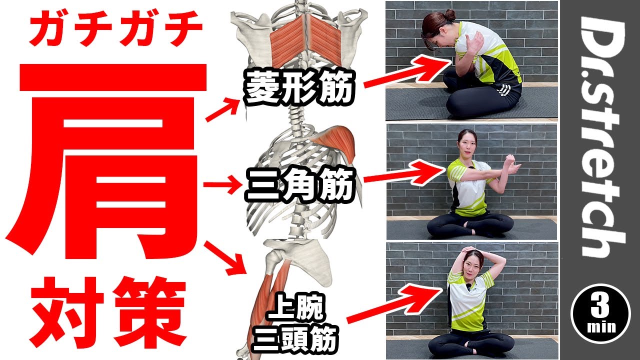 上腕 三 頭 筋 痛み