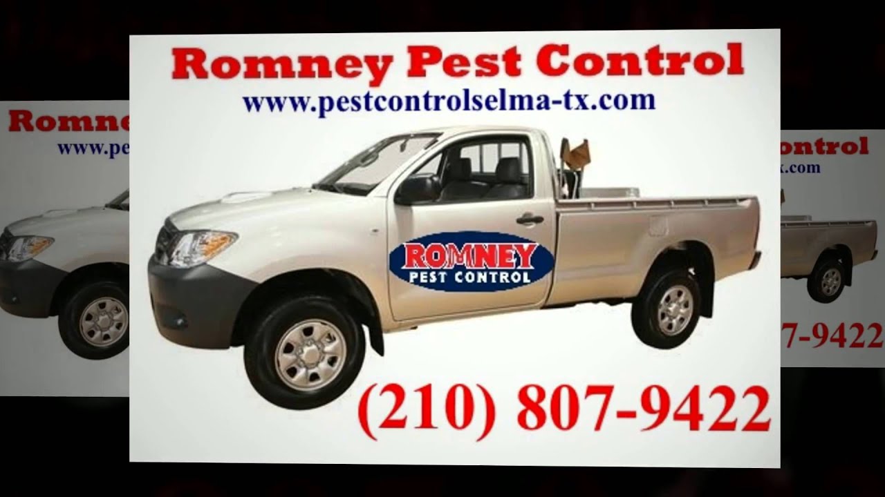 Pest Control Service Selma TX Call (210) 807-9422