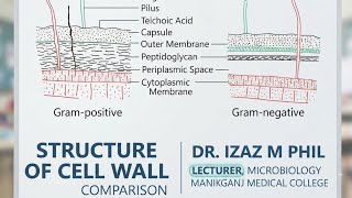 Structure of Cell Wall #spore #capsule 