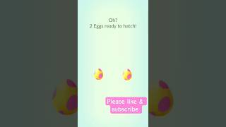 7Km eggs hatching🥚 #pokemongo #pokego #pogo #gaming #pokemoncommunity #hatching #eggs