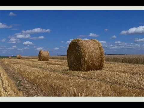 Antonio Vivaldi Concerto n° 2 en sol mineur, op. 8, RV 315, « L'estate »