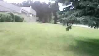 Celebrity evan sheff Wealth