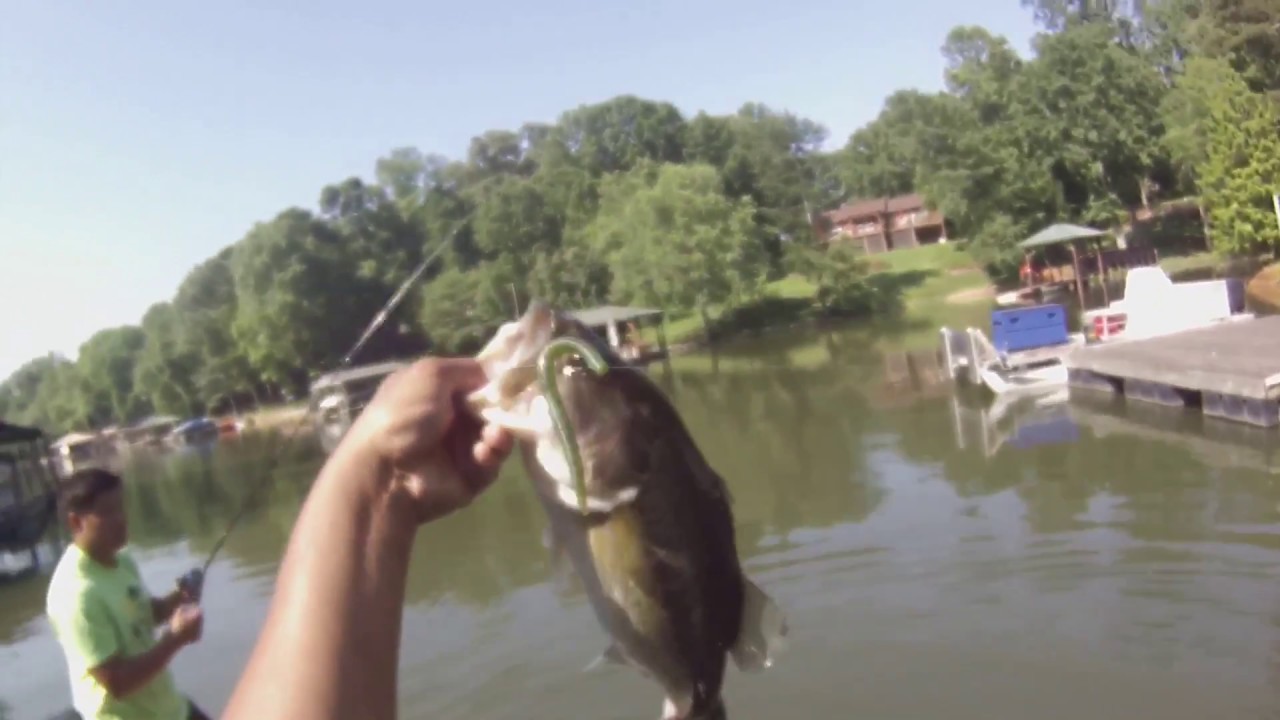 Lake Hickory BASS ACTION - YouTube