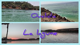 يوم في بحيرة الوالدية la lagune Oualidia