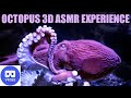 VR180 Mesmerizing ASMR Octopus Experience!