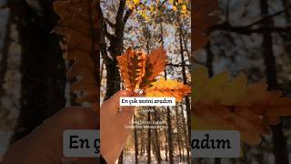 Eylüldü Sararan Yaprakların Yanına Yazdım Adını