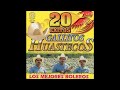 Los Gallitos Huastecos - En Penumbras